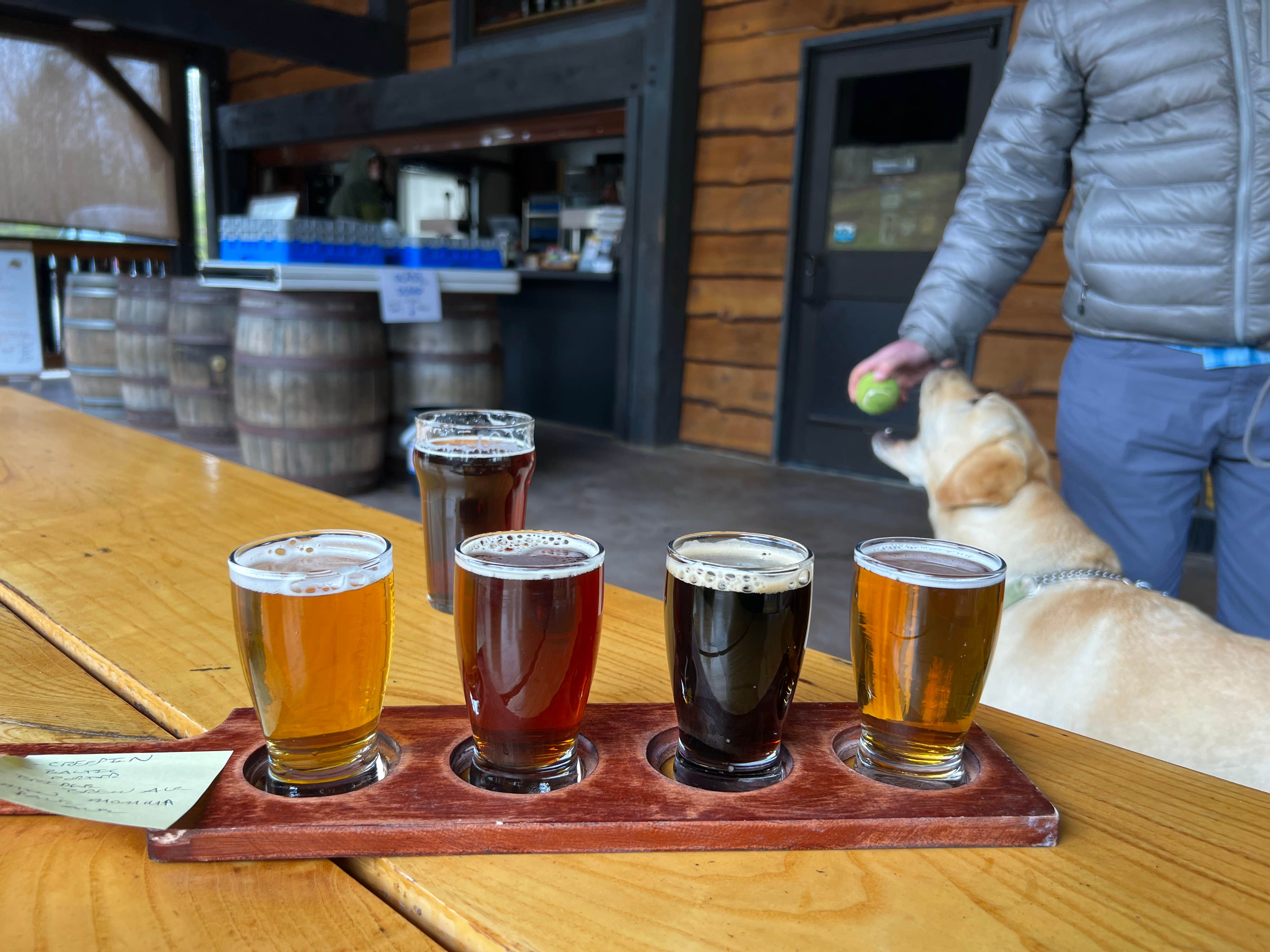Jennifer N.'s photo of camping with pets at The Outpost at New River Gourge near New River Gorge National River