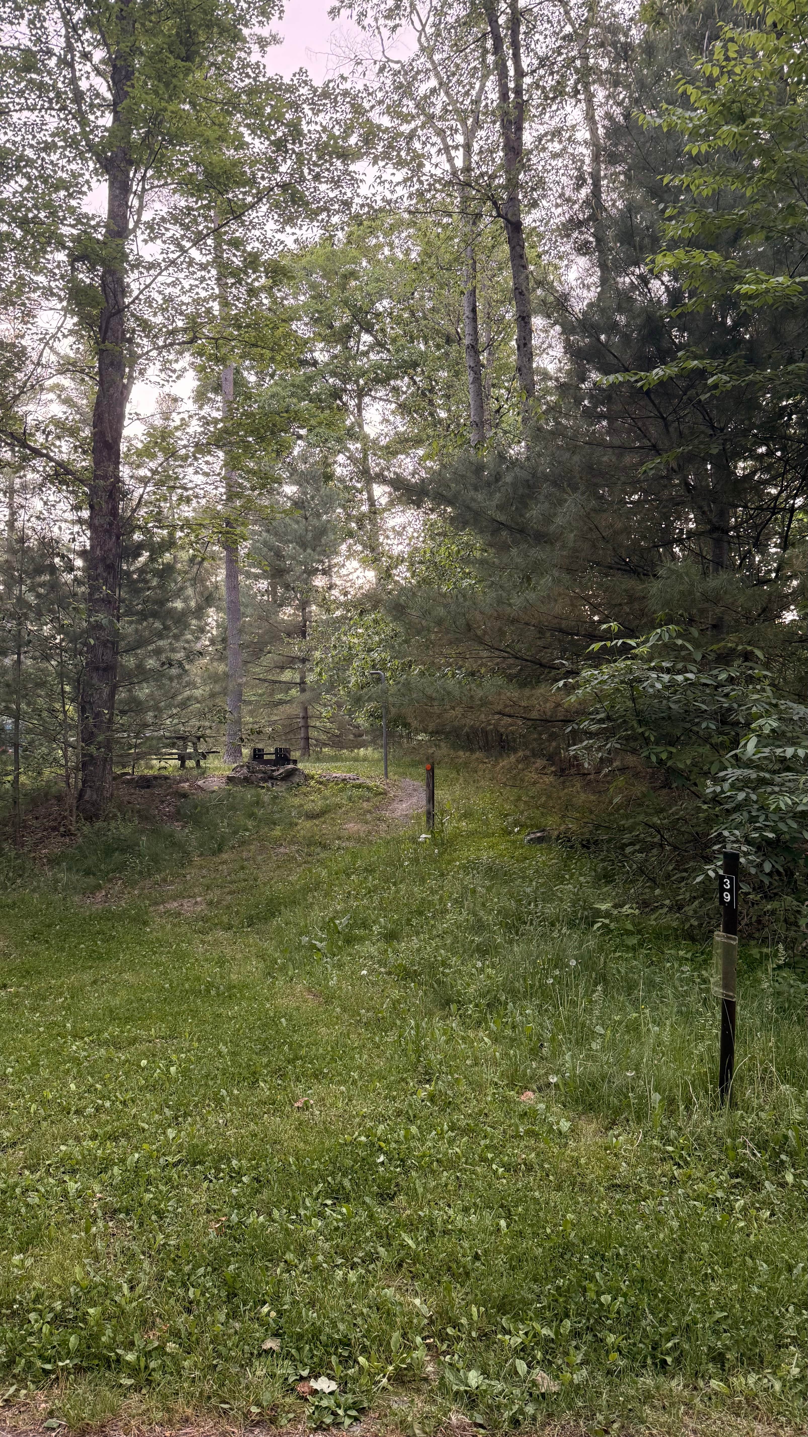 Camper-submitted photo at The Pines Campground — Promised Land State Park near Skytop, PA