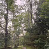 Review photo of The Pines Campground — Promised Land State Park by Maybe I., July 3, 2026