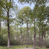 Review photo of The Pines Campground — Promised Land State Park by Maybe I., July 3, 2026