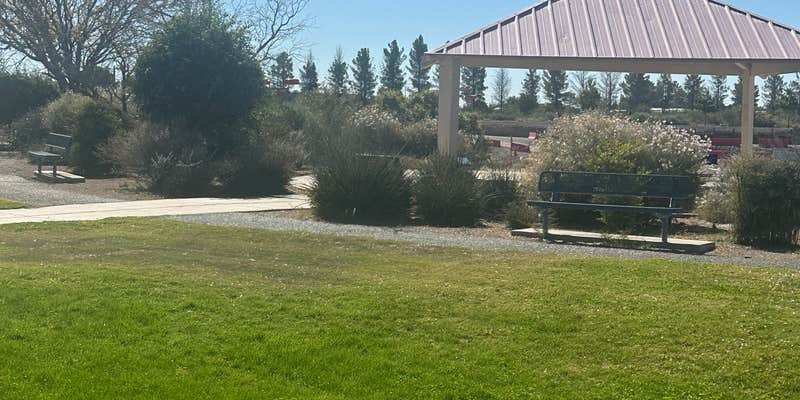 Camper submitted image from The Pit Park, Deming NM