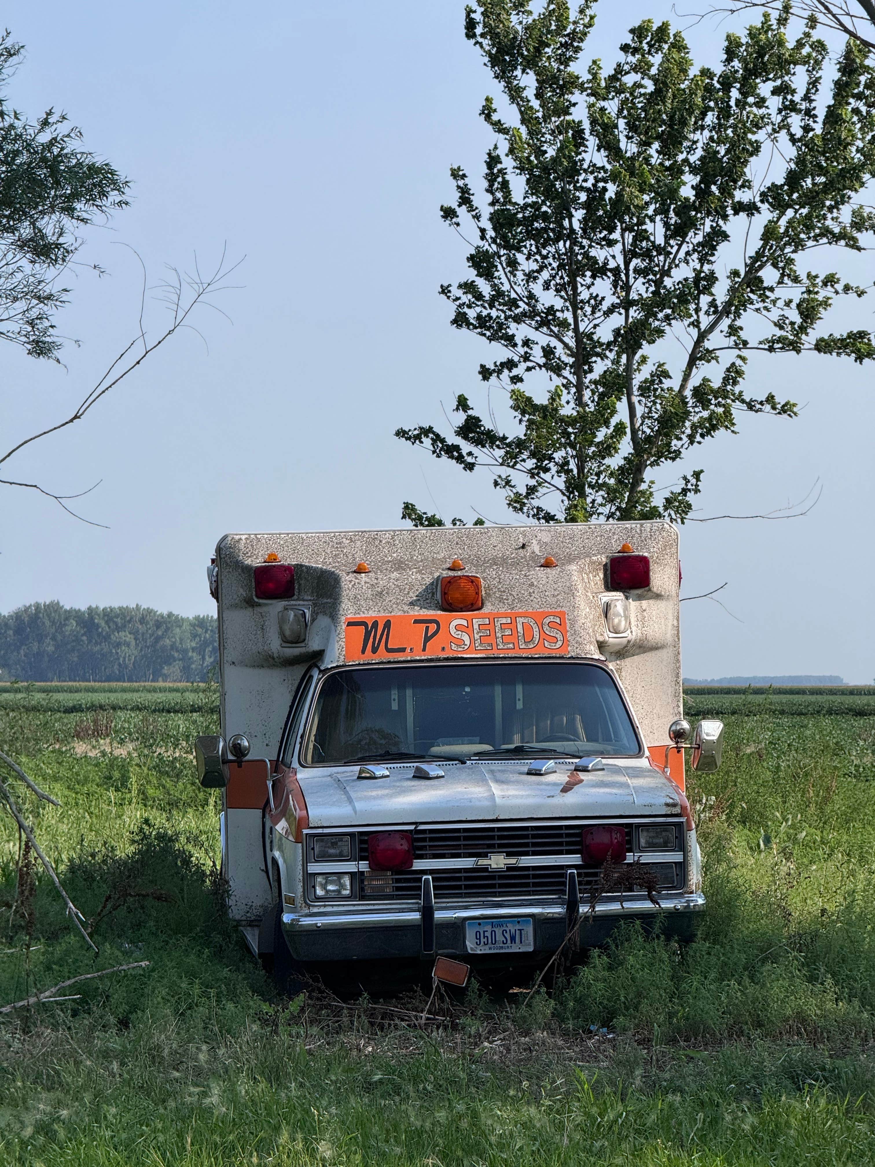 Camper-submitted photo at The Place RV park near Akron, IA