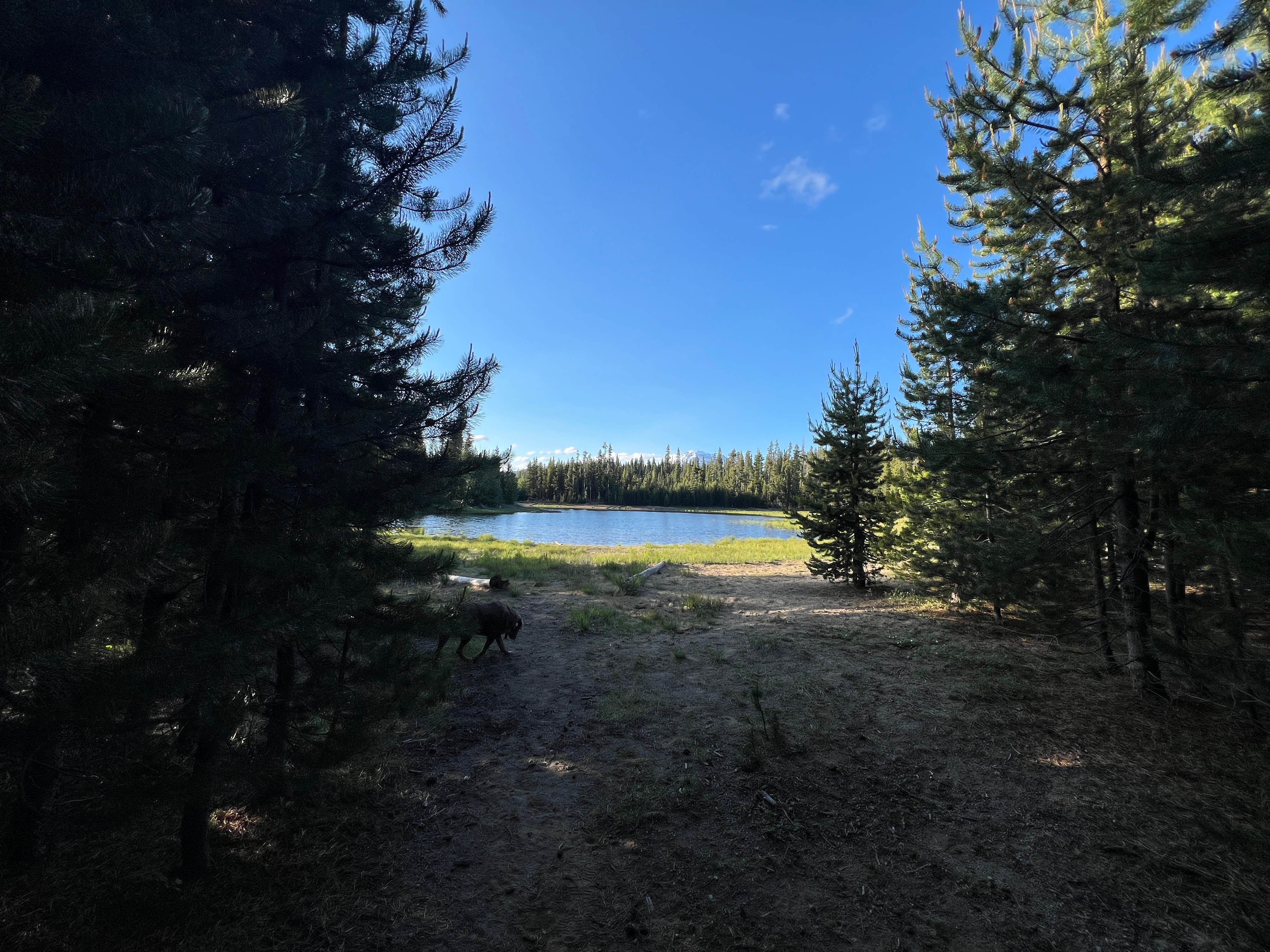 Camper submitted image from The Point - Elk Lake - 4