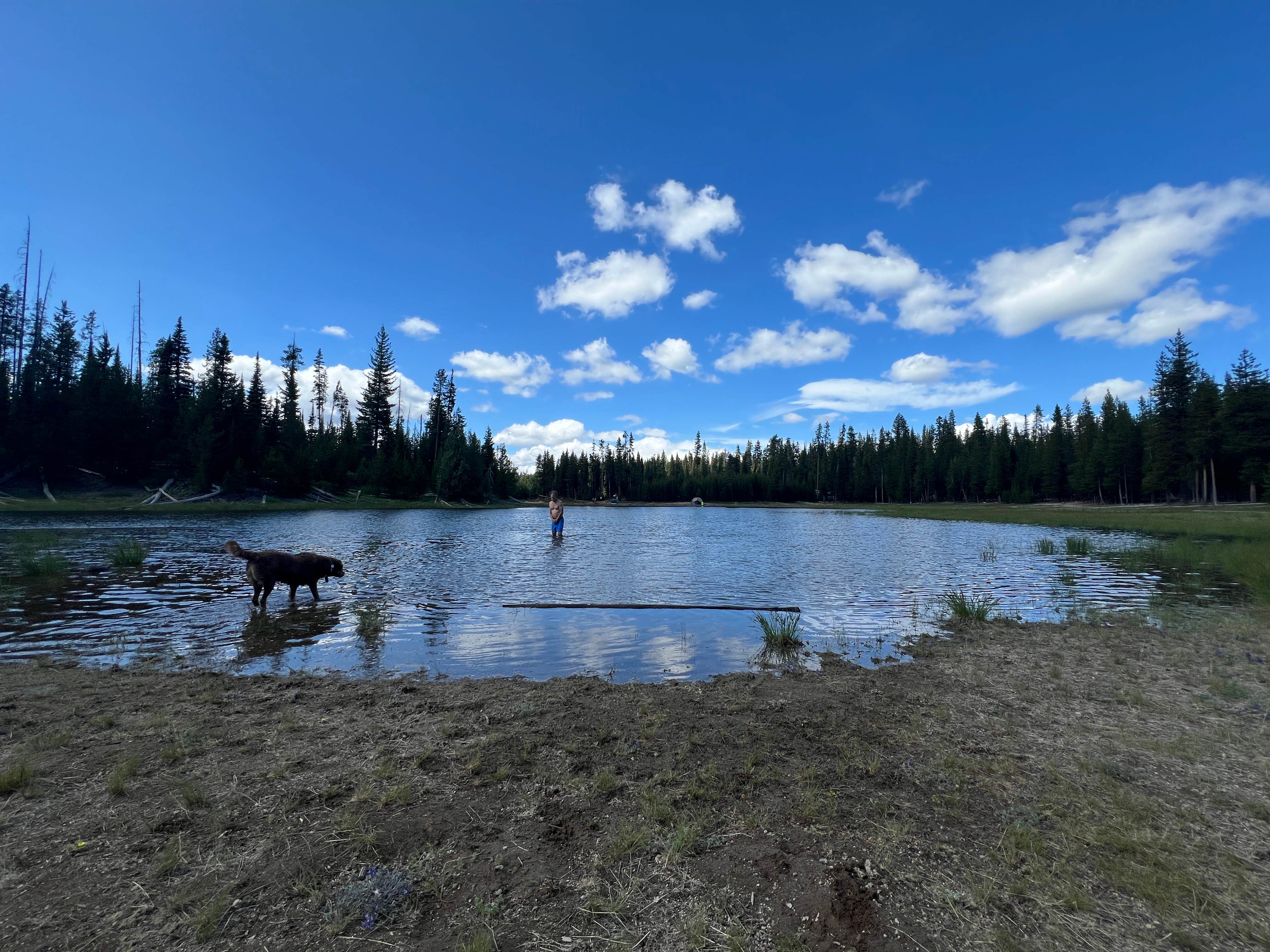 Camper submitted image from The Point - Elk Lake - 1