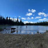 Review photo of The Point - Elk Lake by Katie C., July 1, 2024