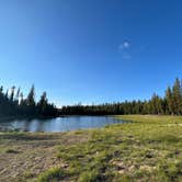 Review photo of The Point - Elk Lake by Katie C., July 1, 2024