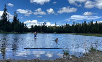 Katie C.'s photo of camping with pets at The Point - Elk Lake near Willamette National Forest