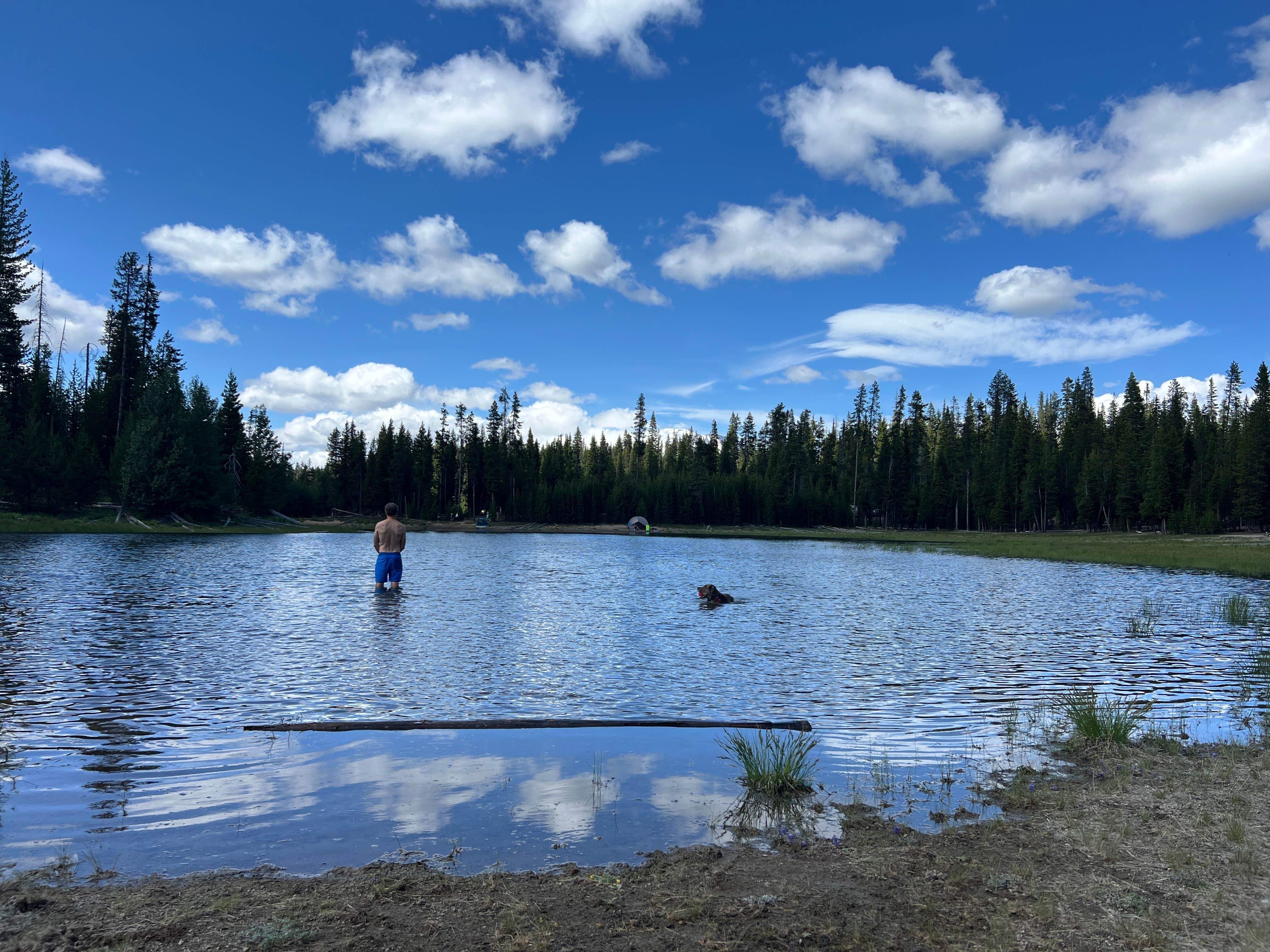 Camper submitted image from The Point - Elk Lake - 5