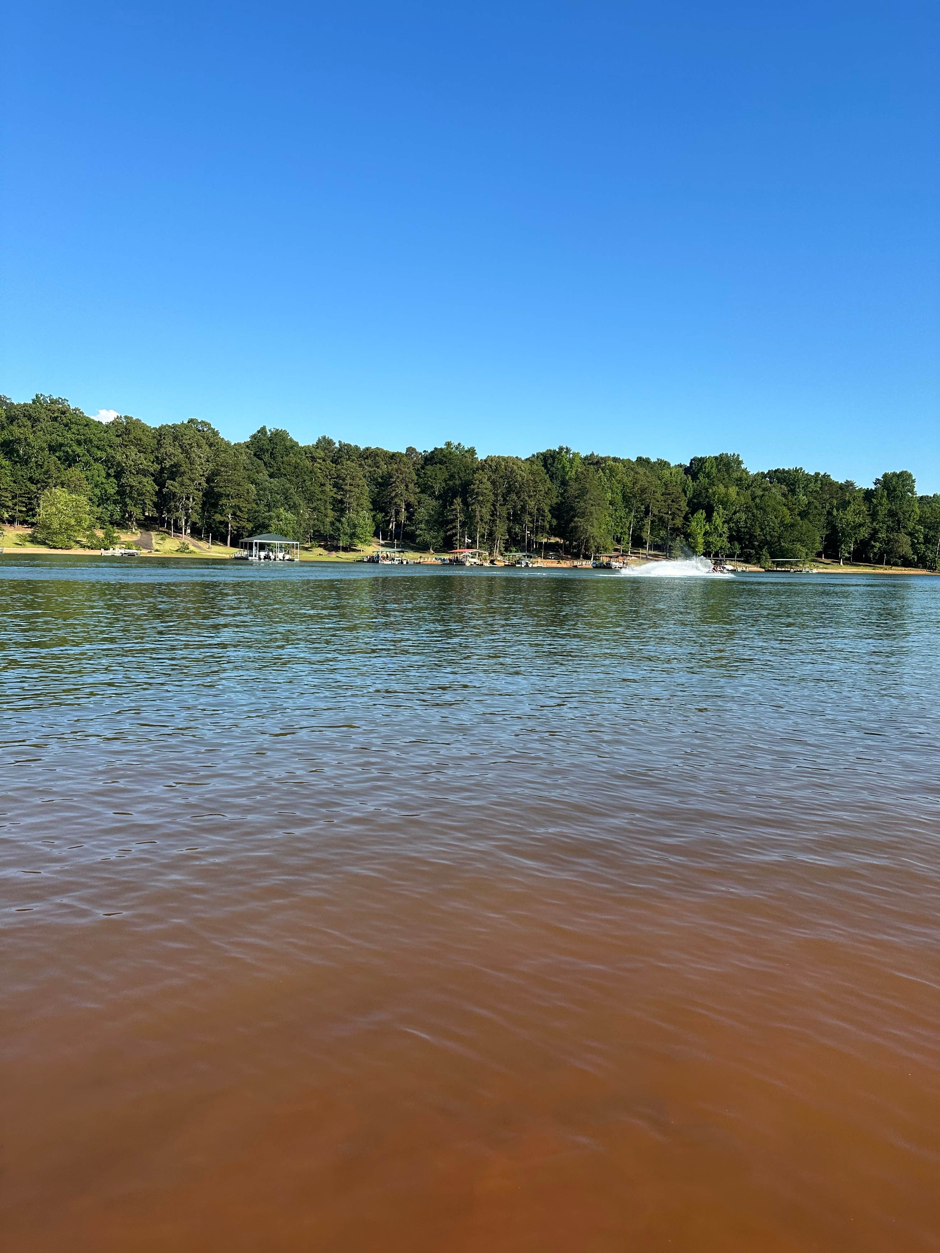Camper submitted image from The Point at Lake Hartwell - 3