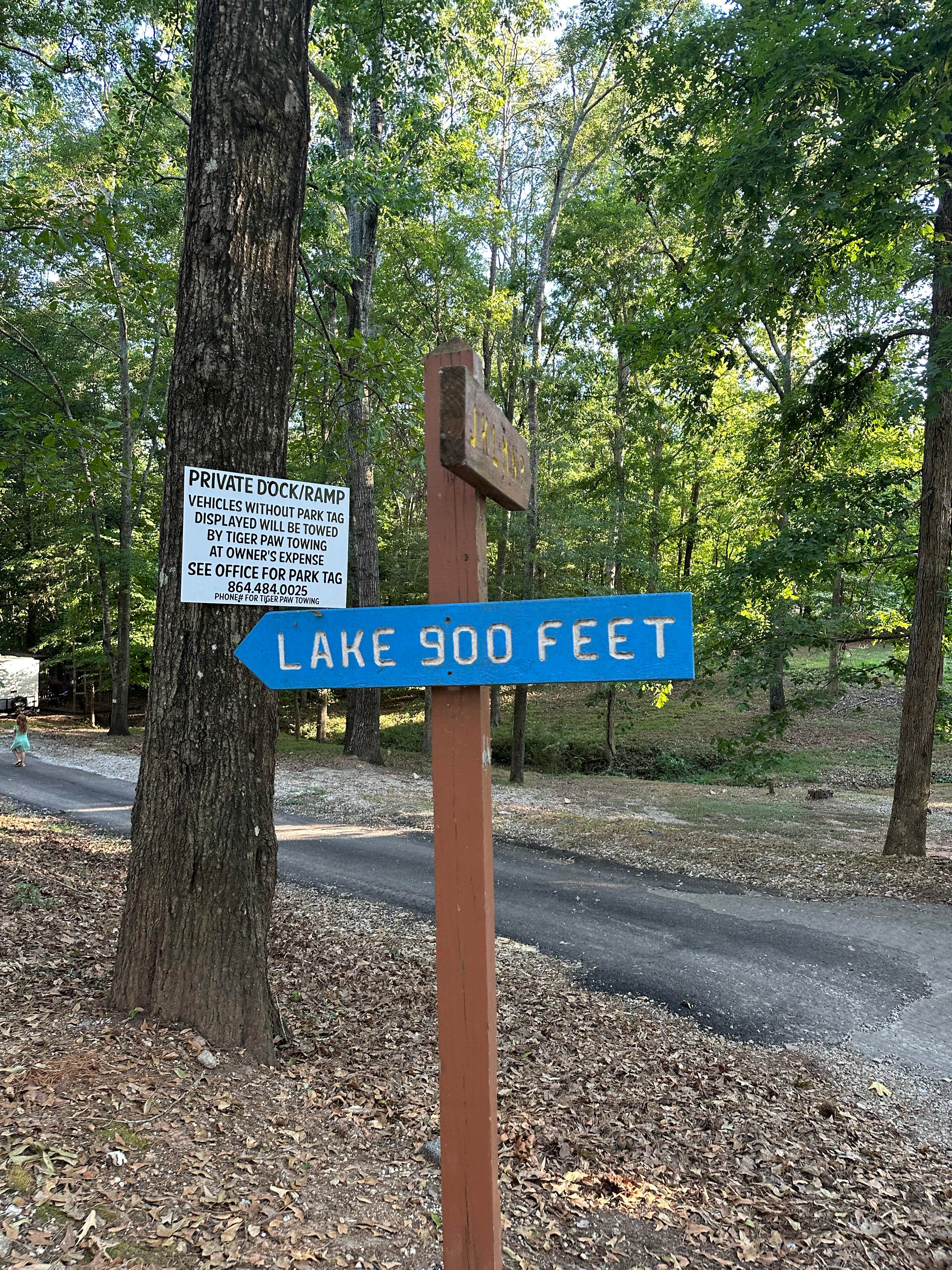 Camper submitted image from The Point at Lake Hartwell - 5