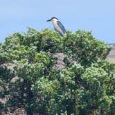 Review photo of The Refuge on Roanoke Island by Jeffrey L P., May 23, 2025