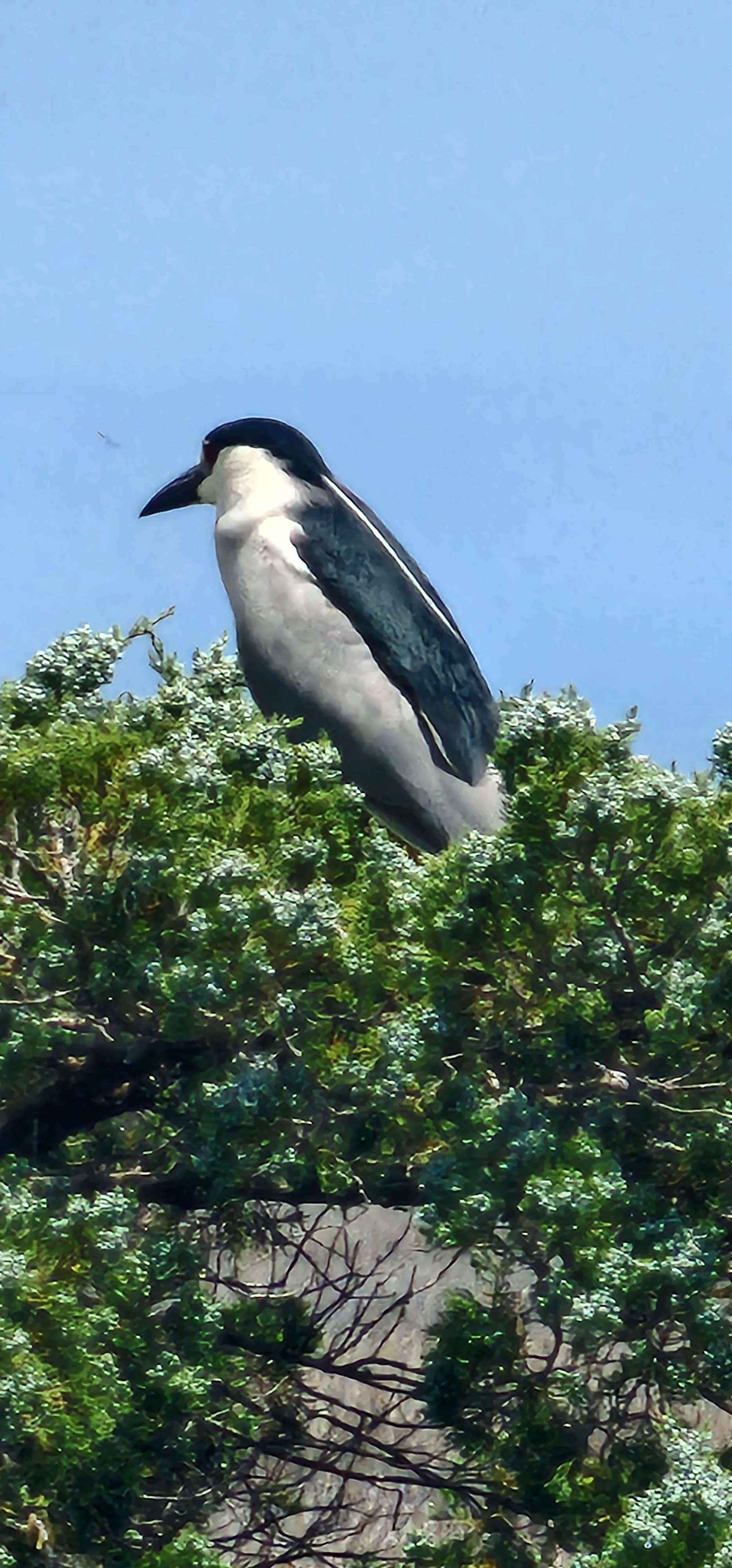 Camper submitted image from The Refuge on Roanoke Island - 1