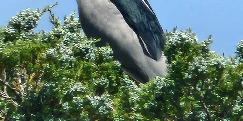 Camper submitted image from The Refuge on Roanoke Island