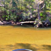 Review photo of The Retreat RV & Campground On Styx River by Tiffany M., March 22, 2026