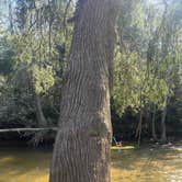 Review photo of The Retreat RV & Campground On Styx River by Tiffany M., March 22, 2026