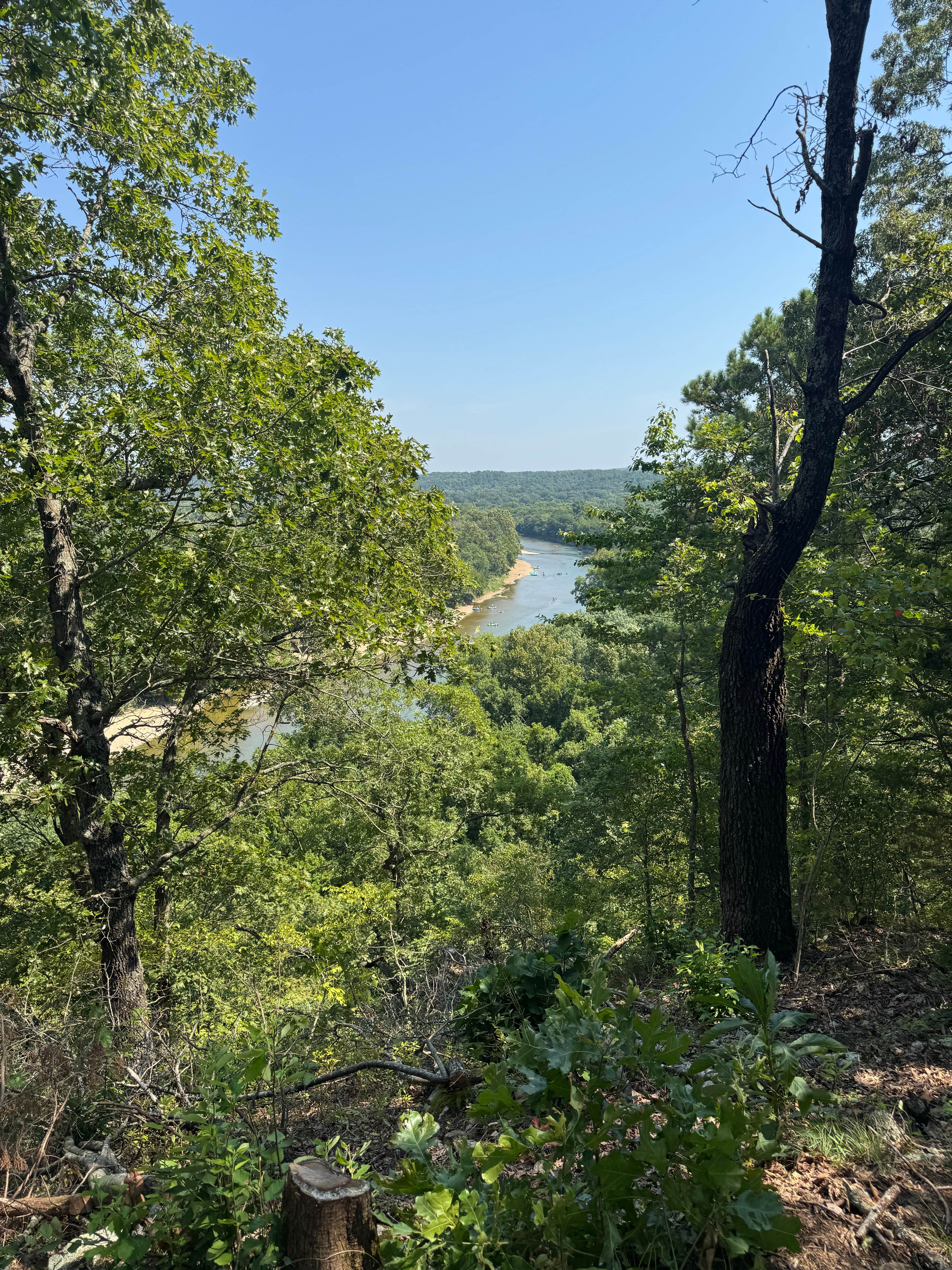 Camper submitted image from The River Bluff Cabins - 4
