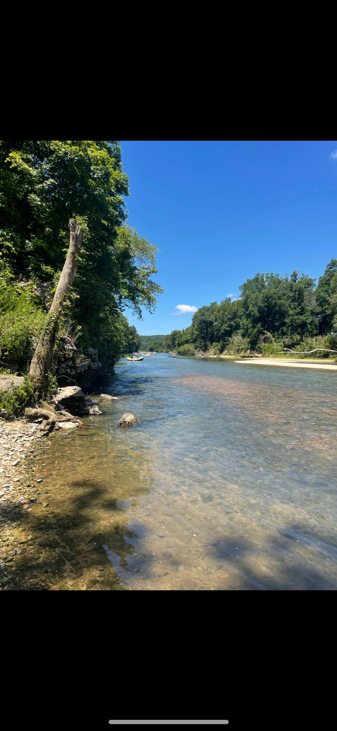 Camper submitted image from The River Bluff Cabins - 3