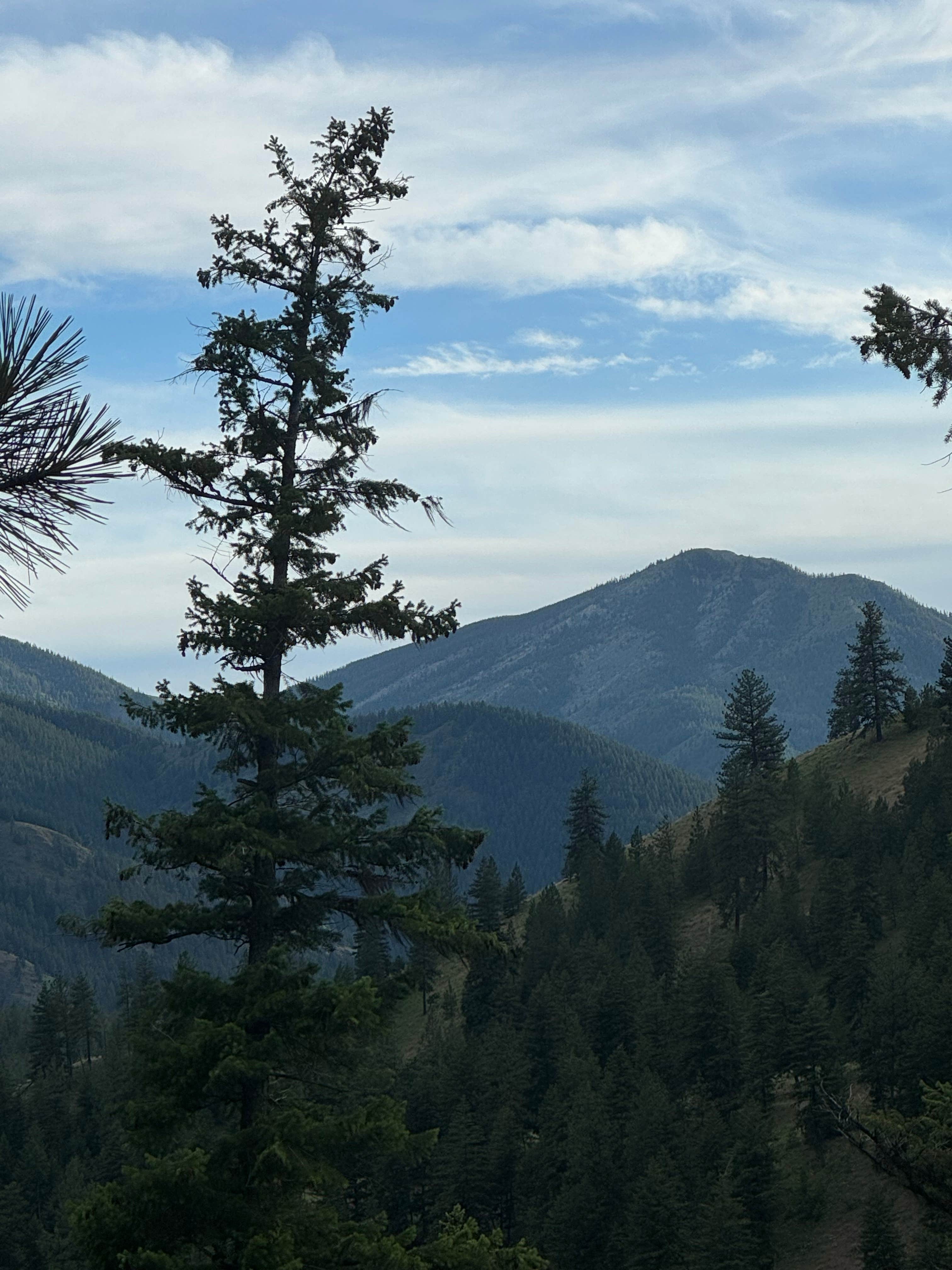 Camper-submitted photo at The Sanctuary Campground near Paradise, MT