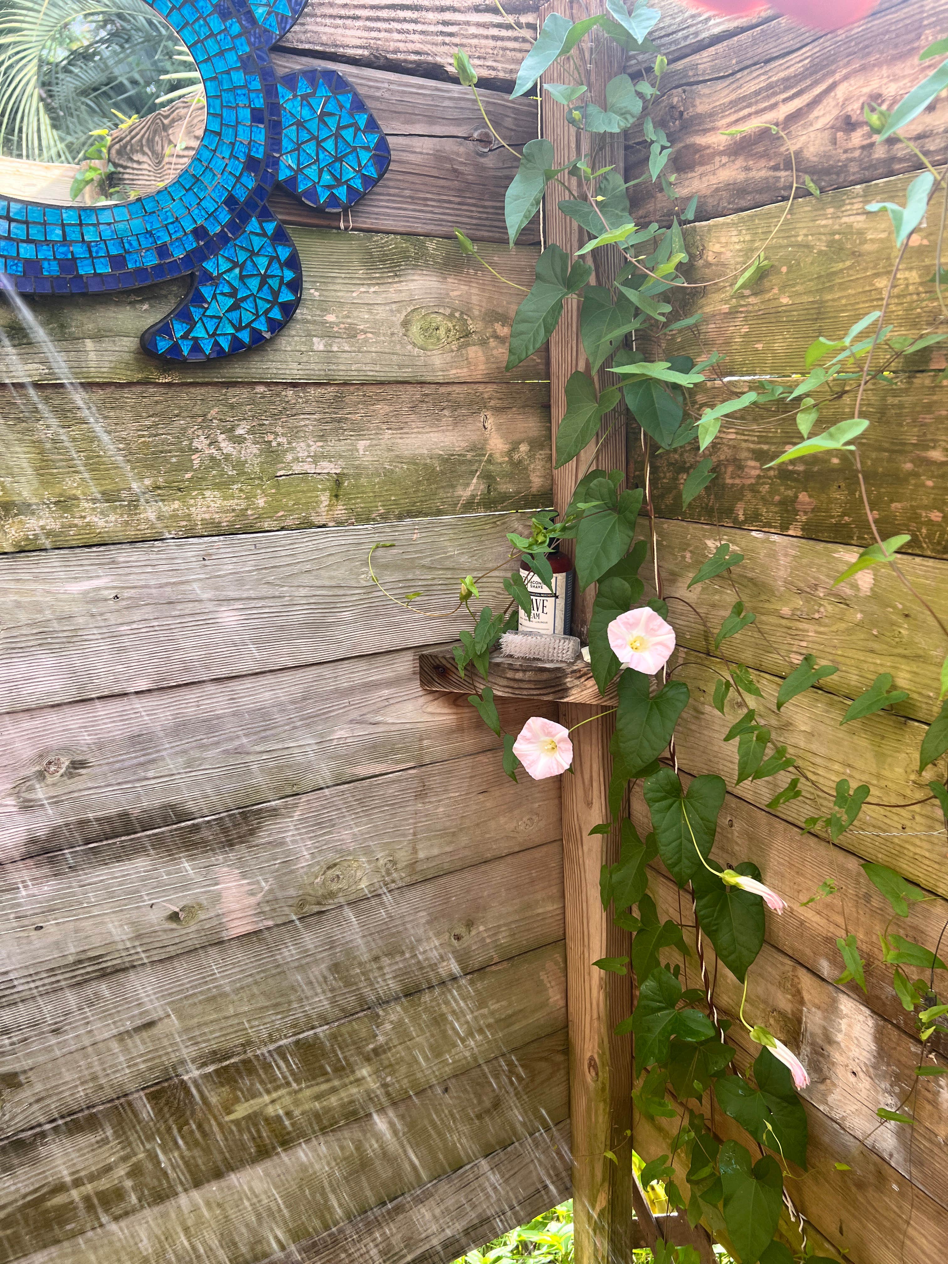 Camper-submitted photo at The Sea Monkey Ranchlette near Cape Lookout National Seashore