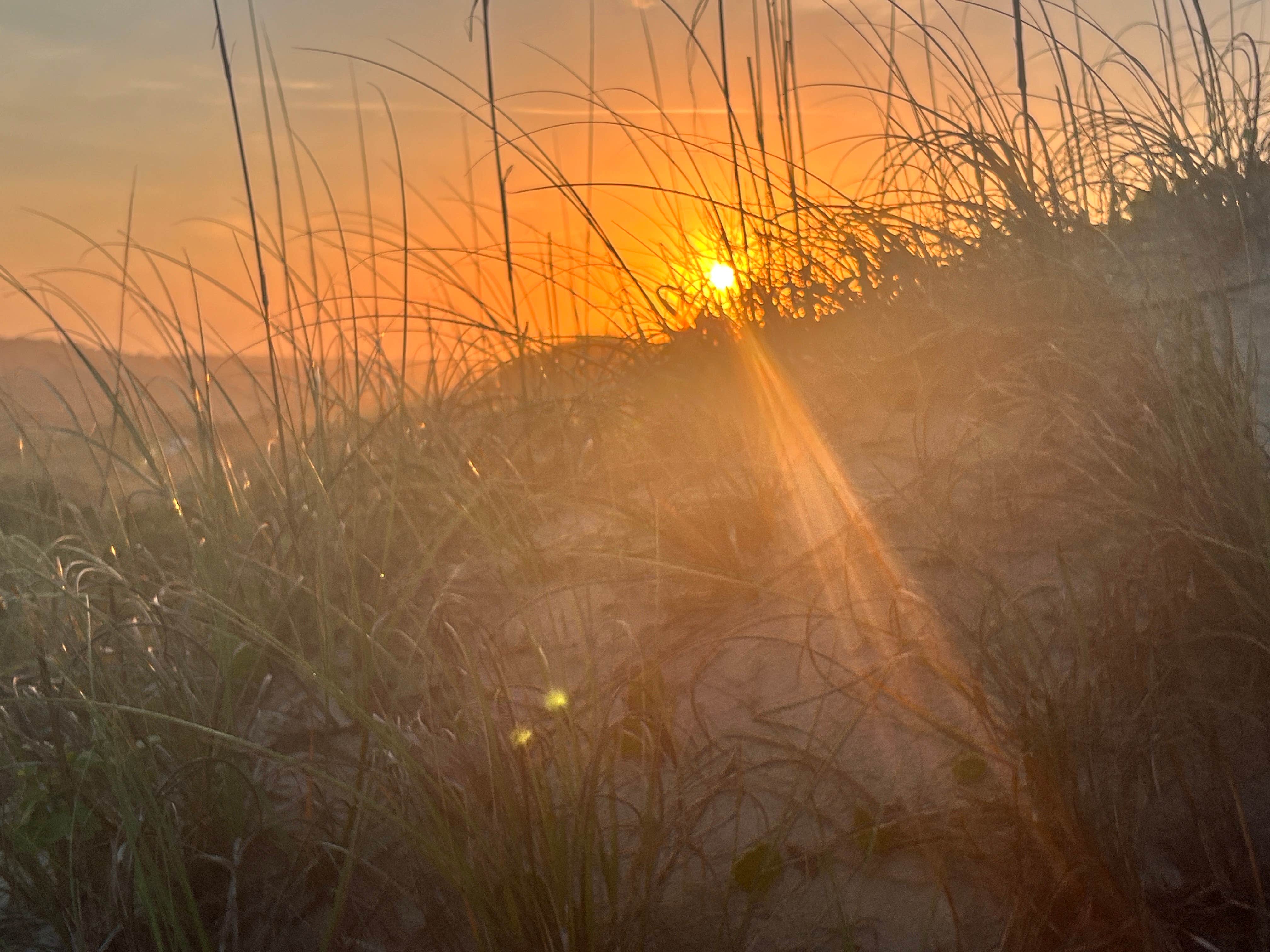 Camping near Ocracoke Campground — Cape Hatteras National Seashore: The Sea Monkey Ranchlette, Ocracoke, North Carolina