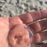 Review photo of The Sea Monkey Ranchlette by keith C., August 6, 2025