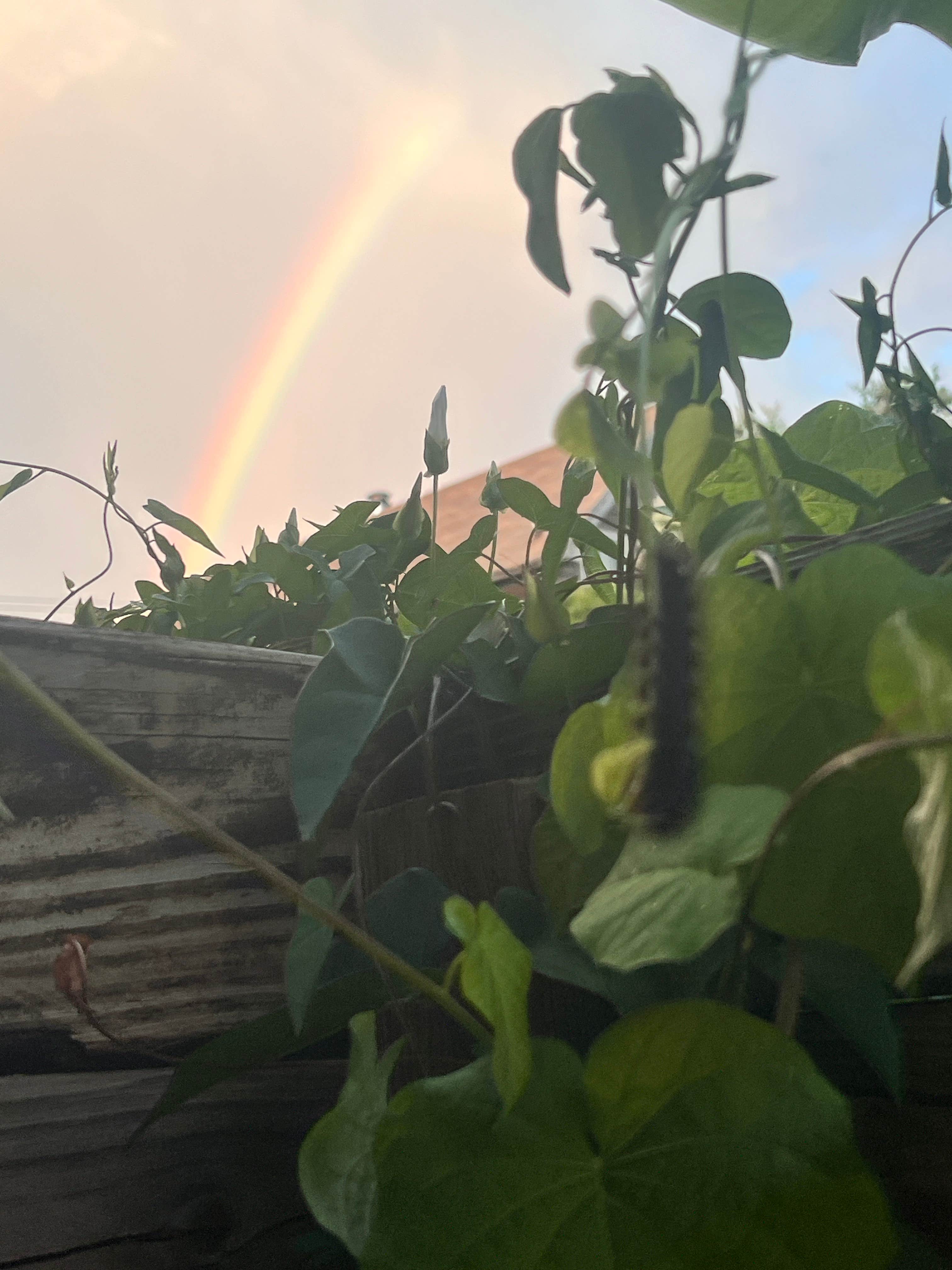 Camper-submitted photo at The Sea Monkey Ranchlette near Cape Lookout National Seashore