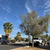 Review photo of The Springs at Borrego RV Resort and Golf Course by Coral C., February 2, 2026