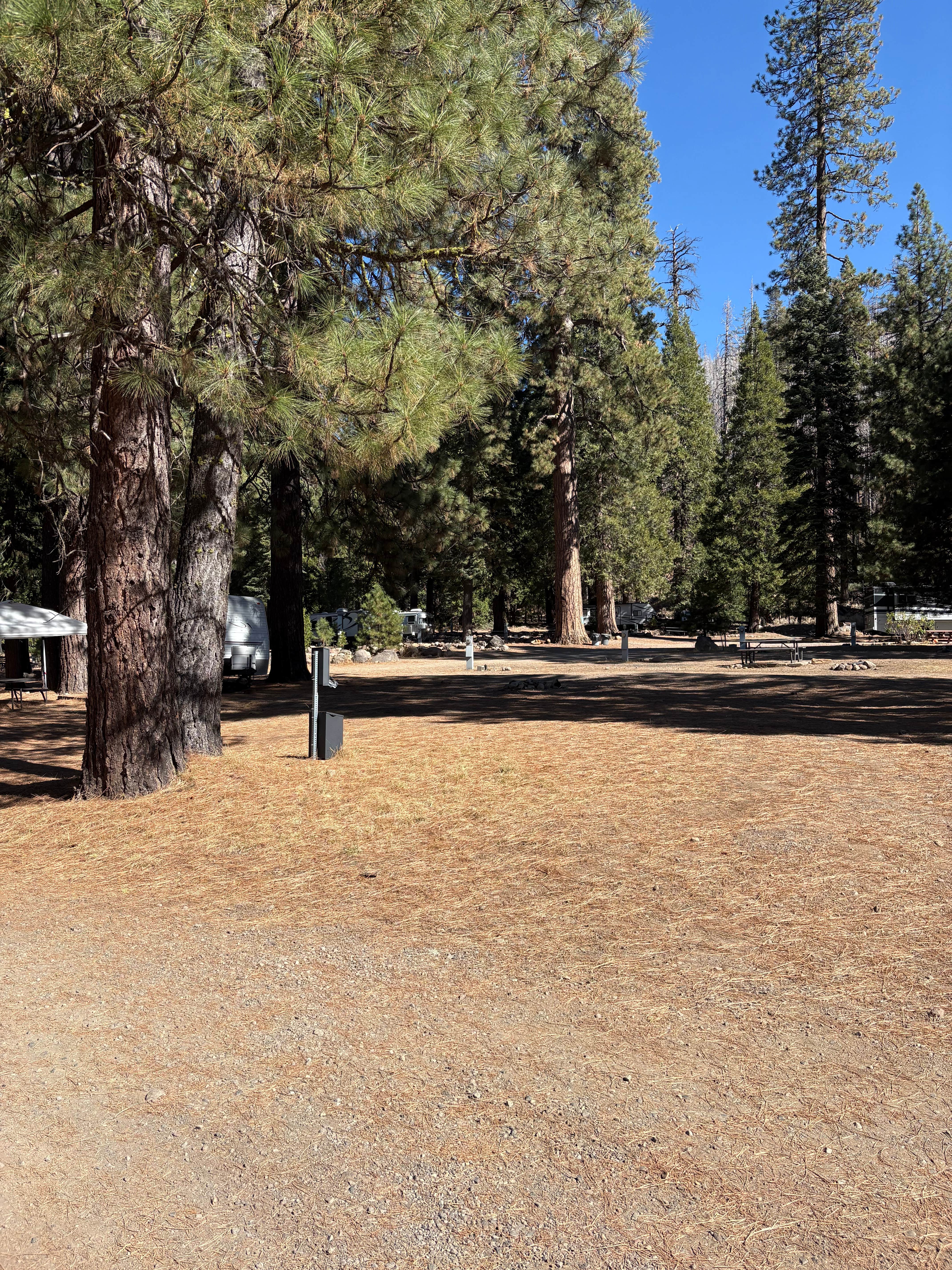 Camper-submitted photo at The Village at Highlands Ranch near Redwoods, CA