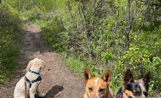 Ted N.'s photo of camping with pets at Virginian RV Park near Victor, ID