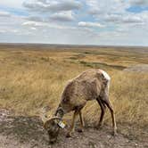 Review photo of Buffalo Gap Dispersed Camping by Chloe T., December 26, 2024