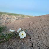 Review photo of Buffalo Gap Dispersed Camping by Kayla W., June 6, 2024