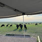 Review photo of Buffalo Gap Dispersed Camping by Joshua M., August 8, 2025