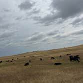 Review photo of Buffalo Gap Dispersed Camping by Chloe T., December 26, 2024