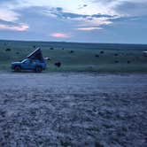 Review photo of Buffalo Gap Dispersed Camping by Lynsey M., August 2, 2025