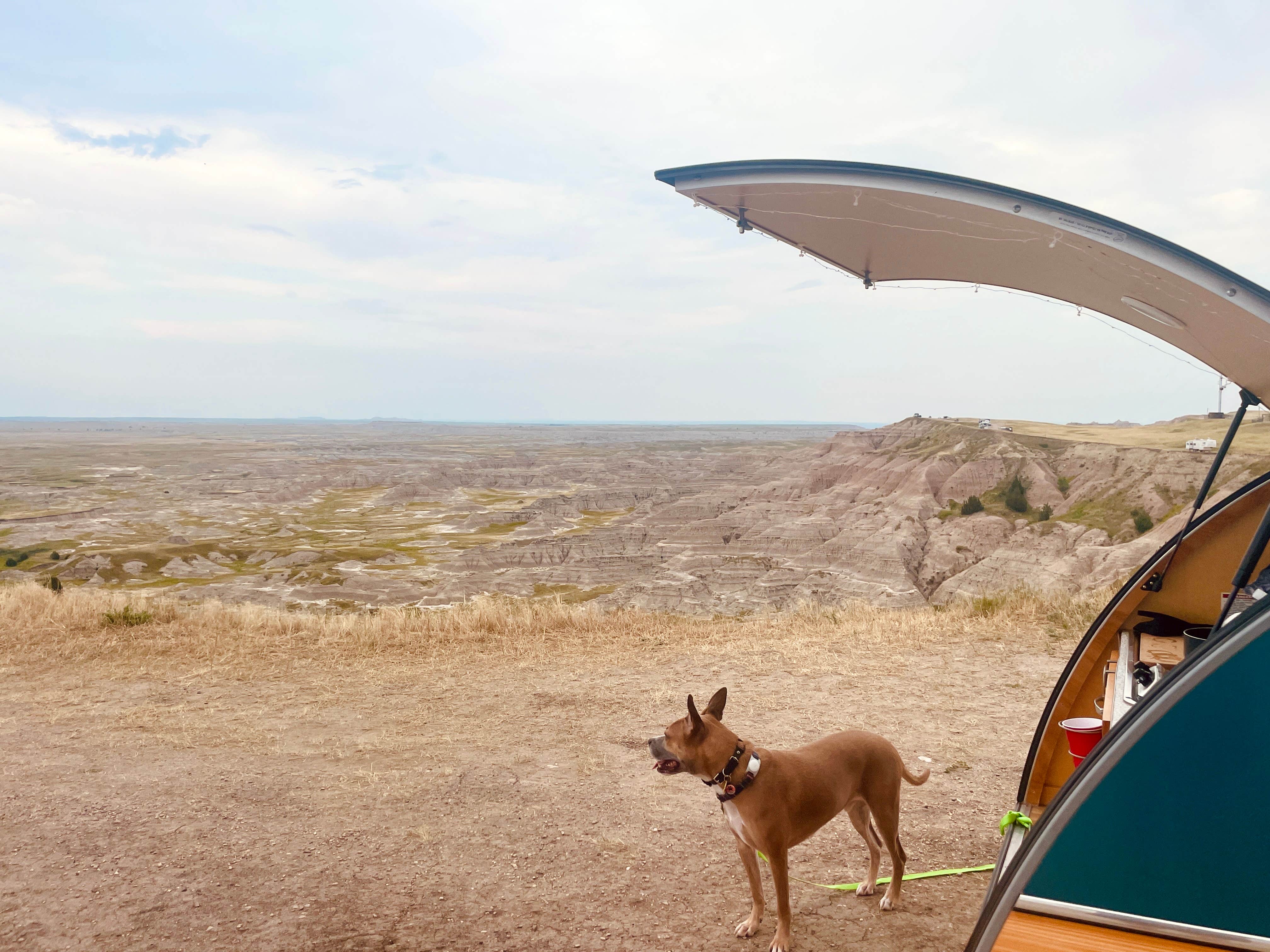 Stephanie W.'s photo at The Wall Boondocking Dispersed near Wall, SD