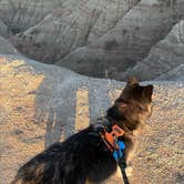 Review photo of The Wall Boondocking Dispersed by Arm M., June 19, 2025