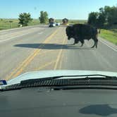 Review photo of The Wall Boondocking Dispersed by Arm M., June 19, 2025