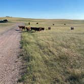 Review photo of The Wall Boondocking Dispersed by Anne W., October 2, 2023