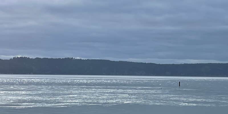 Camper submitted image from The Waterfront at Potlatch