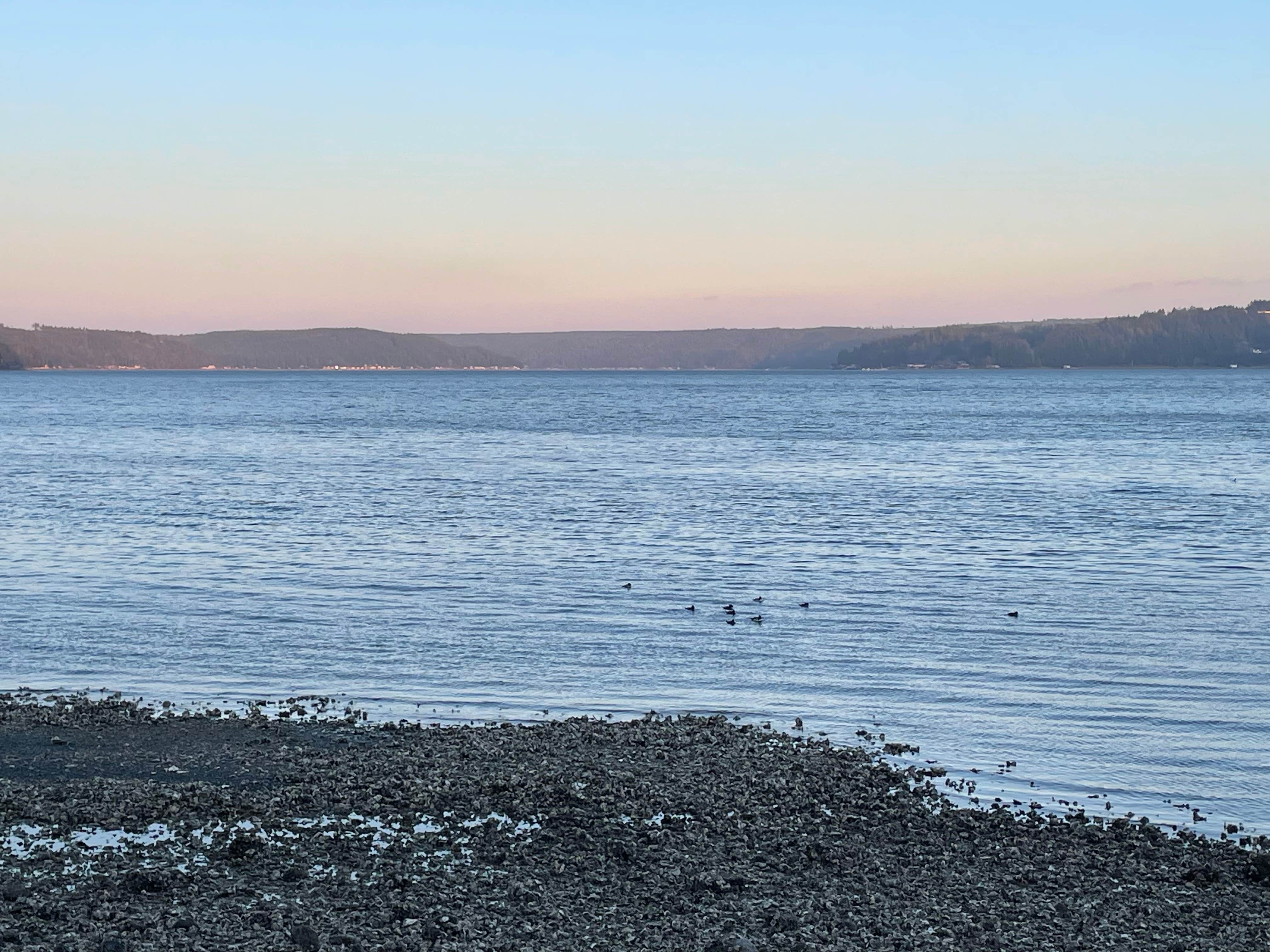 The Waterfront at Potlatch Camping Potlatch, WA