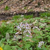 Review photo of The West Woods by Zachary A., April 23, 2025