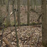 Review photo of The West Woods by Zachary A., April 23, 2025