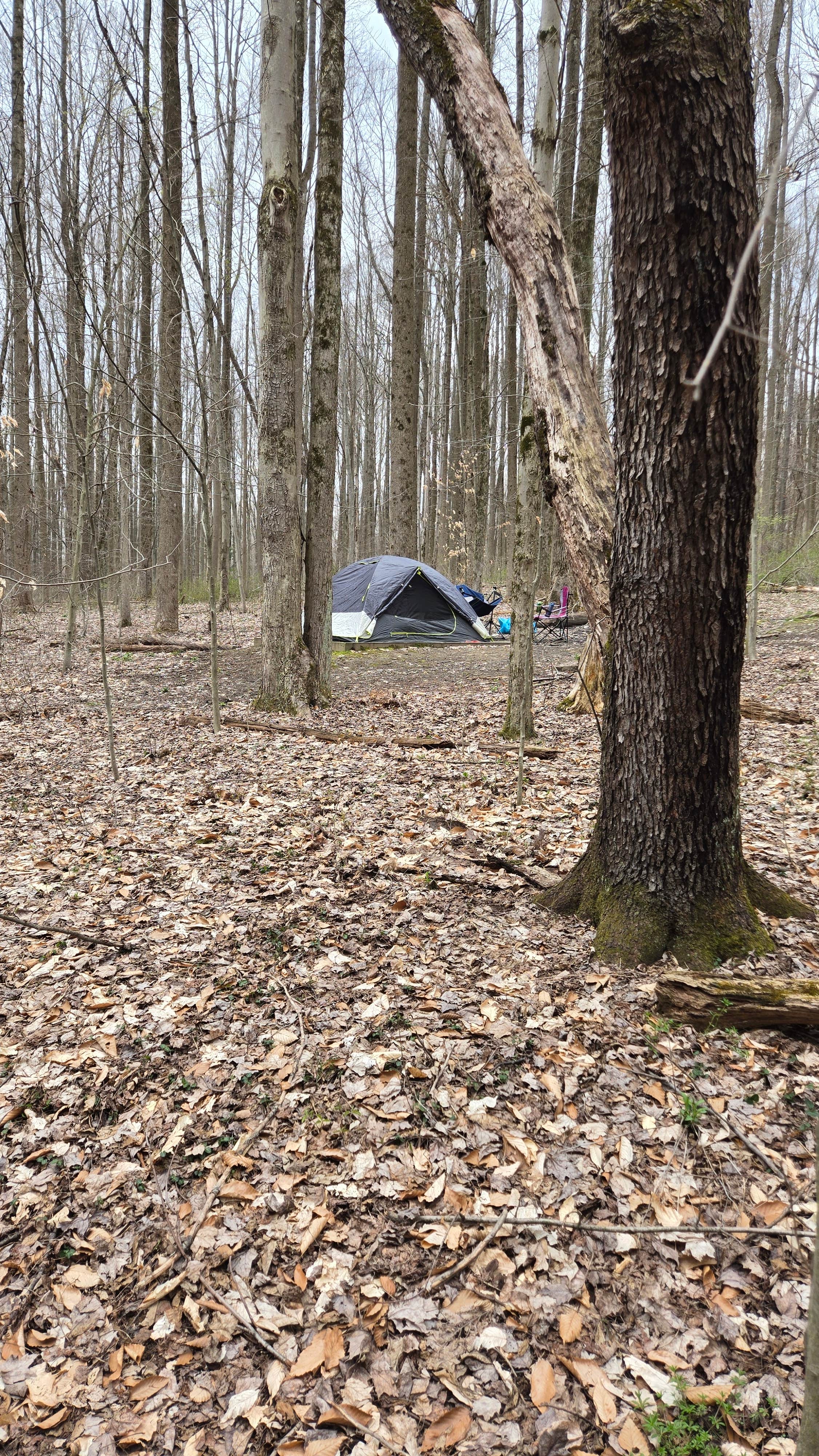 Camper-submitted photo at The West Woods near Wickliffe, OH