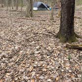 Review photo of The West Woods by Zachary A., April 23, 2025