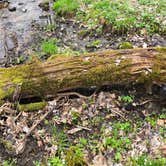 Review photo of The West Woods by Zachary A., April 23, 2025