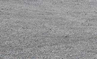 Brad B.'s photo of camping with pets at The Y Dispersed Campsite near Laughlin, NV