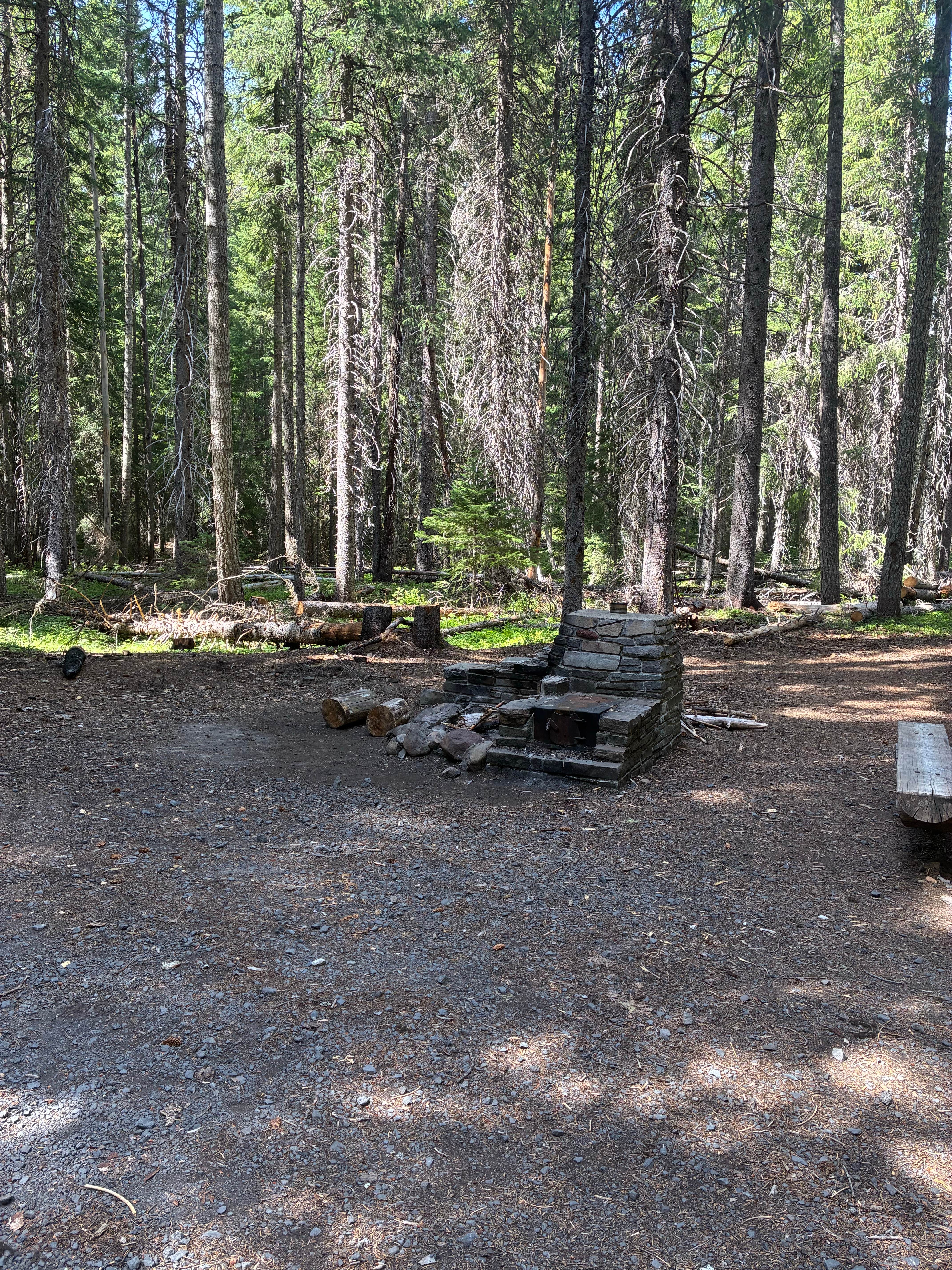 Camper-submitted photo at Thielson Forest Camp near Diamond Lake, OR
