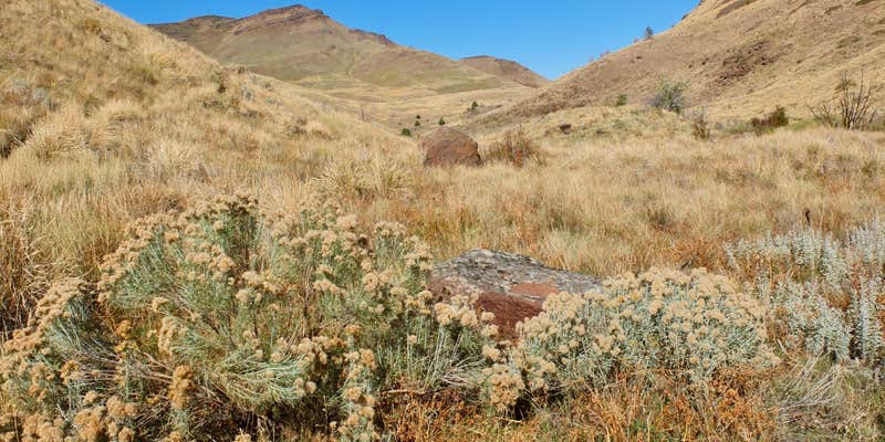 Camper submitted image from Third Fork Campground