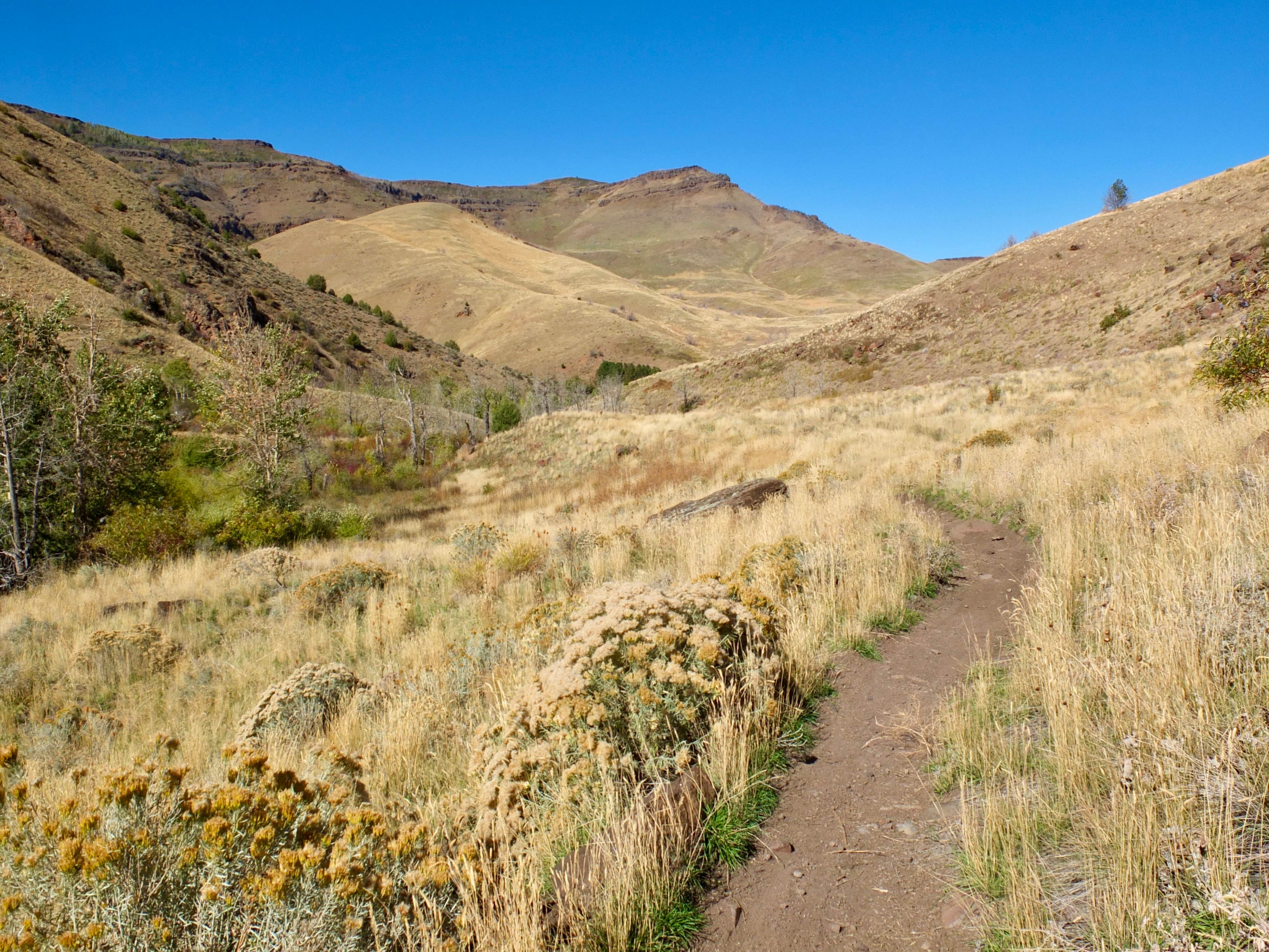 Camper-submitted photo at Third Fork Campground near Jerome, ID