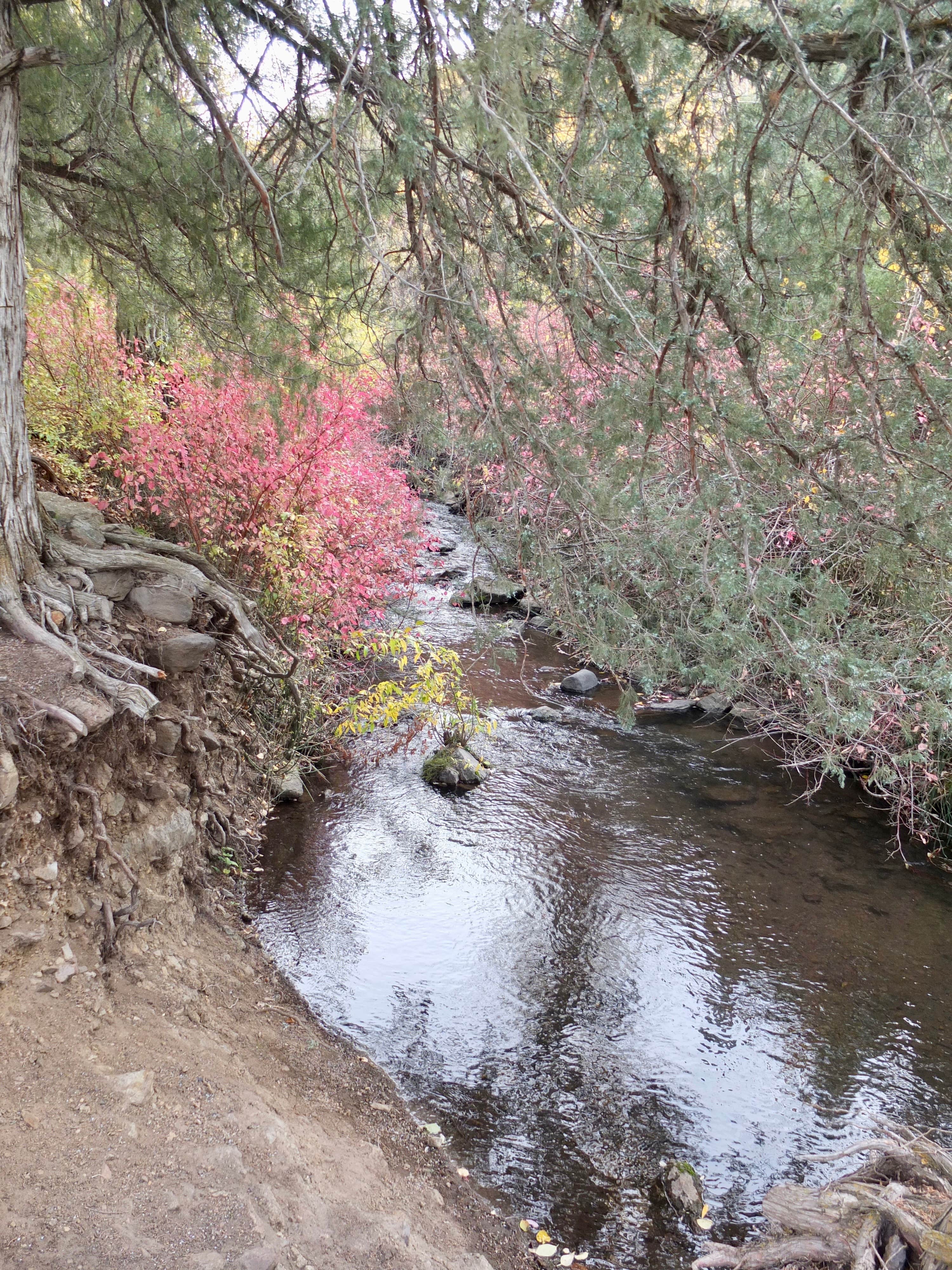 Camper-submitted photo at Third Fork Campground near Jerome, ID
